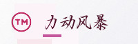 合作伙伴